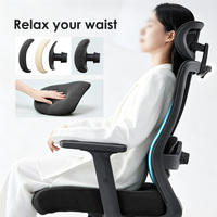 Chaise de bureau ergonomique Foshan, chaise de direction en mesh, support lombaire 2D, accoudoirs réglables en hauteur, appui-tête 2D