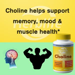 Suplementos de Colina de Dosis Extra Fuerte, Personalizables, en Oferta, para la Salud Cerebral, el Estado de Ánimo, el Apoyo Muscular y Hepático, Vegetarianos - Product Image 3