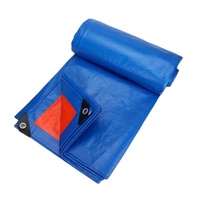 160gsm 220gsm Haute Qualité Bleu Vert Gris Transparent Étanche Bâche Pe Bâche Pour Camion Couverture