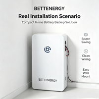 Batterie solaire domestique LiFePO4 5KWh 51.2V 100Ah, système de stockage d'énergie basse tension avec 6000 cycles pour les ménages