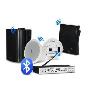 Speaker Plafon Wifi Suara Stereo Audio Profesional dan Speaker Dinding Wifi dan Amplifier Wifi untuk Teater Rumah