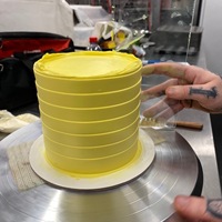 Wiederverwendbarer klarer hoher Acryl-Kuchenraupe fluoreszierender bunt-Lebensmittelqualität-Acryl-Gussraupe für Kuchen