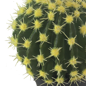 CHUANGFA 21cm <span class=keywords><strong>Cactus</strong></span> artificiale eco-friendly tocco naturale pianta interna per Desktop sala da pranzo decorazioni per feste di natale per alberghi - Product Image 2