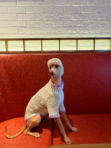 Pull épais chaud coupe-vent pour chat veste pour animaux <span class=keywords><strong>de</strong></span> compagnie pour grandes races jours froids <span class=keywords><strong>chien</strong></span> vêtements d'hiver - Product Image 6