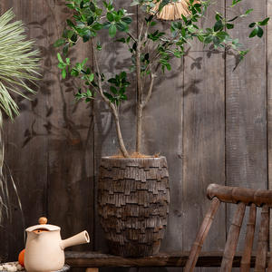 Écorce de vent soyeuse texturé <span class=keywords><strong>grand</strong></span> <span class=keywords><strong>Pot</strong></span> de fleur Kit boue de magnésium trous de fond jardinage café plantes vertes paradis des oiseaux <span class=keywords><strong>citronnier</strong></span> - Product Image 3