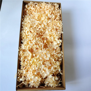 Preserved Hydrangea Flowers Hydrangea Tree Tower-shaped Medium Leaves Yunnan Christmas Bouquet DIY Materials Box Packaging - Product Image 2