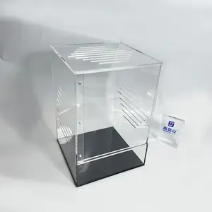 Transparent Plastic Tarantula Enclosure Reptile Enclosure Acrylic Spider Terrarium Tarantula Cage For Display Only