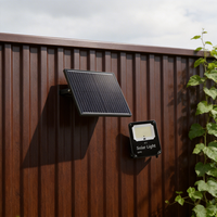 Reflector LED Solar de Aluminio de 100W 200W 300W IP66 para Jardín y Almacén con Control Remoto Inteligente y Certificación RoHS