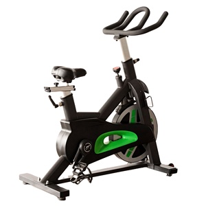 Vélo de spinning à résistance magnétique, entraînement par chaîne silencieux, siège réglable, poignées revêtues par immersion, capacité de 150 kg, salle de sport à domicile - Product Image 1