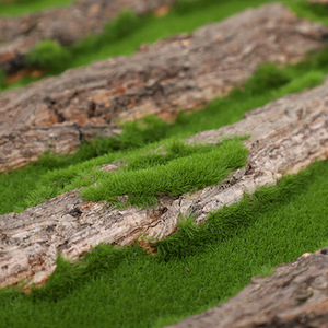 Decoración de musgo artificial para paredes de tuberías, realista, hecha a medida, ecológica - Product Image 2