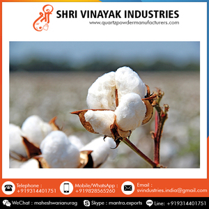 Meilleure qualité, offre Exclusive sur 100% coton pur, vente en gros, exportation en vrac de l'inde - Product Image 2