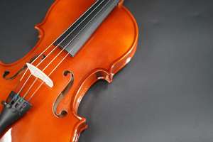 Sinomusik ของเล่นไวโอลินยอดนิยมพร้อมกล่องโฟมโบว์ไม้สำหรับผู้เล่นผู้ใหญ่มือใหม่หัดเล่นสีน้ำตาลแดงล้วนจากประเทศจีน - Product Image 5