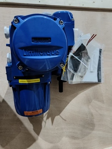 โรงงานควบคุมของจีน ผลิตแอคชูเอเตอร์แบบกำหนดเอง รุ่น QX L120 ราคาขาย - Product Image 5