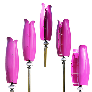 VAWT 800W 12V / 24V New Arrival Flower Tulip Shape Vertical Turbinas Eolicas Verticales Wind <b>Generator</b> ST-800 Wind Gener - Product Image 4