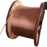 Conductor de Cobre Desnudo Recocido Suave, 99.9% Puro, Trenzado Concéntrico, Clase B, ASTM B8, Aislamiento de PTFE, para Energía Industrial, 0-70°C