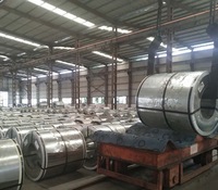 Bobine d'acier galvanisé Z275, revêtement haute teneur en zinc, 0,5 mm-3,0 mm, résistant à la corrosion, usage intensif pour la construction extérieure, prix de gros
