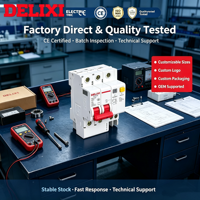 DELIXI RCBO 2P 100A Tipo D 30mA Interruptor Diferencial 230V Protección Contra Fugas a Tierra Certificado CE para el Hogar