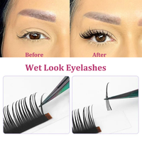 Gros C D CC DD Curl Noir Couleur Vaporeux Poupée Humide Volume Look Cils Cosplay Naturel Doux Curling Extension De Cils Humides