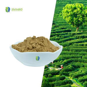 SLBIO Extrait de graines de <span class=keywords><strong>Camellia</strong></span> Sinensis 99% Poudre de saponine de thé Tensioactif Saponine de graines de thé - Product Image 1