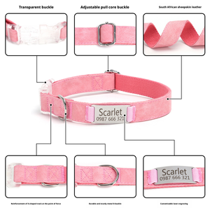 Collier pour chien en cuir souple rembourré avec des rubans gravés de dessins animés, respectueux de la peau, boucle transparente antidérapante, motif uni - Product Image 5