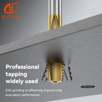 HYGOAL OEM ODM HSS-E Taraque à filetage conique pour tuyaux, Taraque à filetage métrique UNC, Taraque à cannelures droites pour machines CNC à trous traversants, pour le métal
