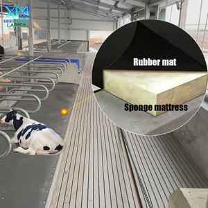 Nuovo Materasso in Gomma XIMI Impermeabile <span class=keywords><strong>per</strong></span> 1 Anno, Durevole, <span class=keywords><strong>per</strong></span> <span class=keywords><strong>Stalle</strong></span> di <span class=keywords><strong>Bovini</strong></span>, Lettiera a Lunga Durata <span class=keywords><strong>per</strong></span> Bestiame, Attrezzatura Agricola <span class=keywords><strong>per</strong></span> Cubicoli - Product Image 1