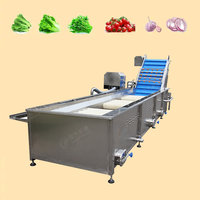 Lead world Hot Sale Reiniger Reinigungs geräte Gemüse verarbeitung Verpackungs linie Salat waschmaschine