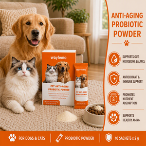 Waylemo Polvere Probiotica Anti-Invecchiamento <span class=keywords><strong>per</strong></span> <span class=keywords><strong>Cani</strong></span> e Gatti, Supporto Cellulare <span class=keywords><strong>per</strong></span> una Lunga Vita e Invecchiamento Sano, Integratore Quotidiano <span class=keywords><strong>per</strong></span> Animali Domestici - Product Image 2