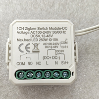 Module de commutation intelligent Zigbee à contact sec, disjoncteur relais DIY pour maison connectée, compatible DC 12-48V AC 100-240V, compatible Alexa Google Home
