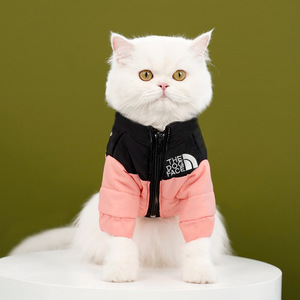 Herbst Winter Warmer Baumwollmantel für Hunde Jacke Kleine Haustierkleidung für Hunde und Katzen Einfarbig Direkter Großhandel Hersteller Teddy Katzenbedarf - Product Image 6