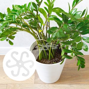 6 pièces <span class=keywords><strong>support</strong></span> de tige de <span class=keywords><strong>support</strong></span> de tige de <span class=keywords><strong>plante</strong></span> avec trous acrylique <span class=keywords><strong>plante</strong></span> treillis piquets stabilisateur de <span class=keywords><strong>plante</strong></span> <span class=keywords><strong>support</strong></span> de feuille et <span class=keywords><strong>support</strong></span> d'escalade - Product Image 5