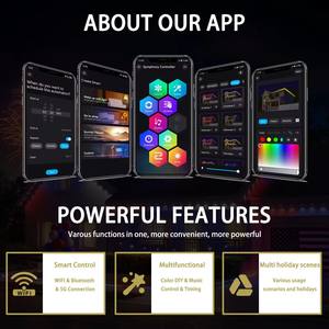 Lumières LED RGB WS 2811 48V pour Noël, extérieur, IP68, étanches, décoration de vacances, Nouvel An, lumières ponctuelles permanentes, pixels LED - Product Image 4