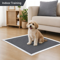 Tapis d'apprentissage pour chiens en charbon de bambou PE jetables, ultra absorbants, anti-odeurs, anti-fuites, écologiques, directement de l'usine