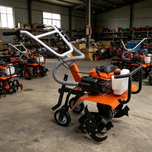 Mini motoculteur à essence 12 CV avec <span class=keywords><strong>charrue</strong></span> à sillons et boîte de vitesses <span class=keywords><strong>pour</strong></span> l'entretien des jardins et des pelouses - Product Image 1