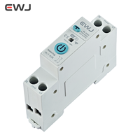 Disjoncteur Miniature EWJ 63A AC 2P avec Compteur d'Énergie Tuya Wifi, Protection Contre les Fuites et Relais de Tension 220V, Interrupteur Intelligent Smart Life MCB