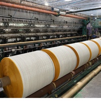 Benutzer definierte 54*78cm 50*72cm Gemüse Obst Kartoffel Zwiebel Landwirtschaft Verpackung PE Raschel Mesh Bag Roll