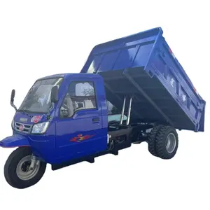 Tricycle Cargo 3 Tons Tricycles 3 Tires Tricycle Motorcycle Export To African Market