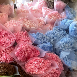 Hfloral Ingrosso Fiori di Ortensia Anna Essiccati e Conservati, Ortensia a Foglia Grande Colorata e Duratura con Rami - Product Image 2