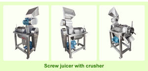 Ticari vida sıkacağı ekstraktör makinesi meyve suyu susuzlaştırma Aloe Vera zencefil elma suyu sıkmak basın yapma makinesi - Product Image 3