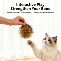 Jouet en peluche lapin moelleux en sachet pour l'agrandissement des capacités sensorielles des chats, balle de divertissement autonome, jouet durable résistant aux griffures pour chatons