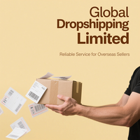 Agent Professionnel de Dropshipping Shopify avec 7 Ans d'Expérience Commerciale