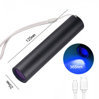 Penjualan laris Senter UV Mini portabel 365nm senter Aloi aluminium isi ulang USB untuk deteksi lumut kucing cetakan uang kertas