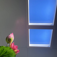 Plafonnier LED encastré fin SUEZ en aluminium naturel pour chambre à coucher, panneau de lumière artificielle pour ciel ouvert