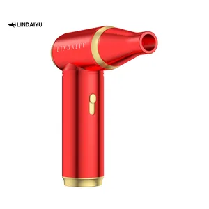 LINDAIYU Mini Hair Dryer Professional Cordless Hair Dryer Ionic Hair Blower Dryer USB Plastic Red Guangdong 12V 60W Concentrator