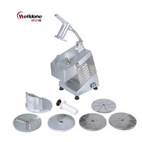 Welldone RVS Gemotoriseerde 5-Messen 350W Multifunctionele Automatische Groente-Aardappel Snijmachine 205mm Mes Groente