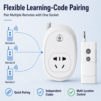 Prise de télécommande RF longue portée AC 220V à code d'apprentissage sans fil pour les distributeurs d'accessoires électriques