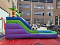 Toboggan aquatique gonflable personnalisé pour adultes, motif palmier, avec piscine et souffleur, idéal pour les fêtes en extérieur – Offre spéciale usine pour enfants