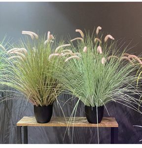 Piante Artificiali in Vaso con Foglie Delicate, Fiori in Tulle Realizzati in Plastica, <span class=keywords><strong>Pampas</strong></span> Ecologico di Alta Qualità <span class=keywords><strong>per</strong></span> Uso Interno, Confezionati in Sacchetti - Product Image 3