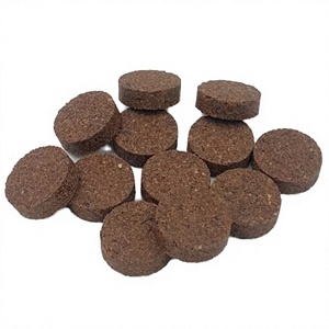 Tablettes de Bakhoor Naturel de Luxe Oud d'Assam Bois d'Agar Indien Rose Aromatique Faible MOQ 2 kg Prix Usine Forme/Taille Personnalisée Étiquette 50+ - Product Image 4