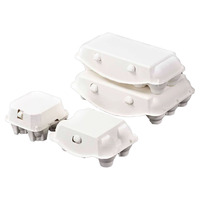 Boîte à œufs en pulpe de canne à sucre blanche jetable sur mesure, 15 compartiments, antichoc, emballage cadeau, plateau à œufs